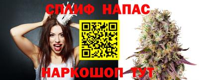 дмт Кимры