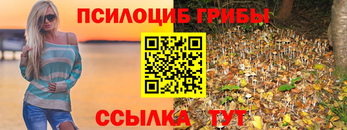 Псилоцибиновые грибы GOLDEN TEACHER Коряжма