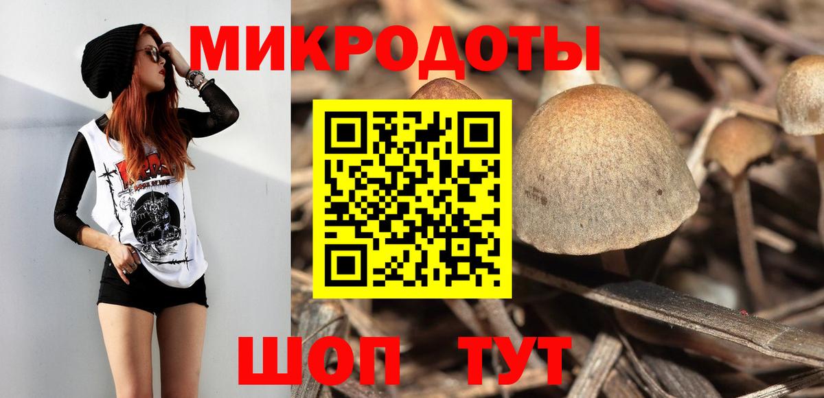 Галлюциногенные грибы MAGIC MUSHROOMS  Вход с VPN  Коряжма 